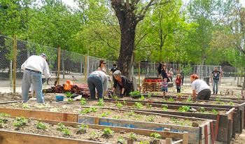 Huertos urbanos, opción frente a incremento de precios de la canasta básica: Iván Texta