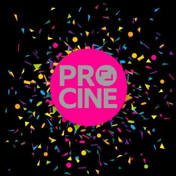 Procine ofrecerá nuevos apoyos en su plan de trabajo 2018