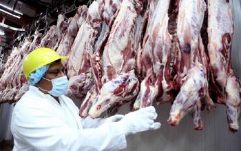 Exportaciones de Nicaragua a Taiwán crecieron en 50,77% en 2017