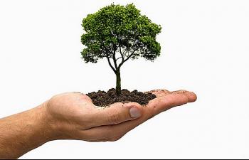En el Día Mundial de la Educación Ambiental, adoptemos medidas pertinentes para su preservación: Elizabeth Mateos