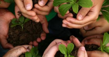 Día Mundial de la Educación Ambiental: aprender para transformar