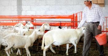 Infraestructura, Equipamiento y Maquinaria para fortalecer el campo