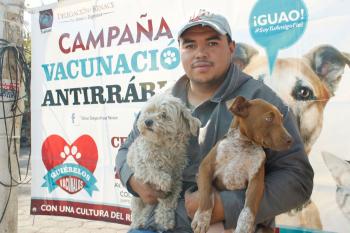 INICIA CAMPAÑA GRATUITA DE VACUNACIÓN ANTIRRÁBICA PARA PERROS Y GATOS