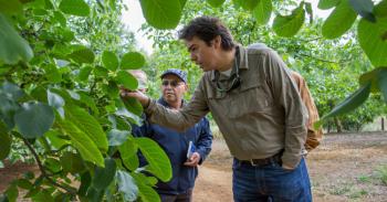 El desarrollo comunitario asegura la producción de alimentos