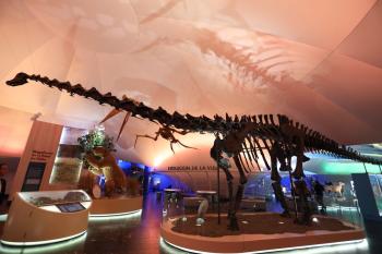 Luce renovado Museo de Historia Natural
