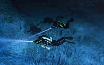 Estudian megafauna del Pleistoceno Tardío que vivió en lo que hoy es la península de Yucatán