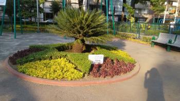 INVERTIR EN INFRAESTRUCTURA URBANA ES UNA PRIORIDAD: CHRISTIAN VON