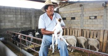 Padrón Ganadero Nacional, registro integral del sector pecuario