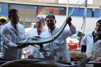 Verifica SEDESA 250 establecimientos y mercados por Cuaresma
