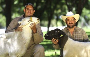 Día Nacional de la Ganadería