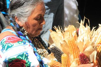 PUEBLOS Y BARRIOS DE XOCHIMILCO PRESERVAN TRADICIONES Y COSTUMBRES