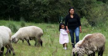 Ahora es el momento: Las activistas rurales y urbanas transforman la vida de las mujeres