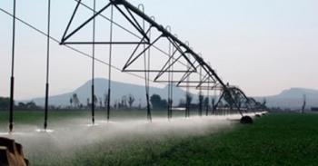 Cómo cuidar el agua: Hidroponia y tecnificación