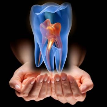 DESARROLLAN UNIVERSITARIOS BANCO DE CÉLULAS MADRE DE DIENTES PARA LA REGENERACIÓN DE TEJIDOS Y ÓRGANOS