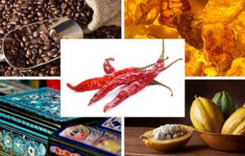 México cuenta con 16 Denominaciones de Origen