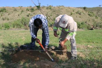 REFORESTAN ÁREAS PROTEGIDAS EN XOCHIMILCO.