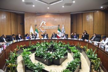 Emite IECM convocatoria para la Consulta Ciudadana de Presupuesto Participativo 2019