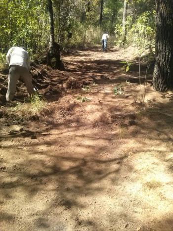 Acciones contra incendios en suelo de conservación