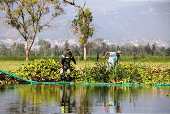 PROGRAMA PERMANTE DE  LIMPIEZA DE CANALES EN XOCHIMILCO