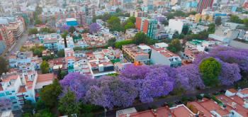 Fortalecen Modelo de Ciudad Santuario y Hospitalaria