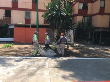 REALIZA GAM MEGA JORNADA DE MANTENIMIENTO A PARQUES Y JARDINES.