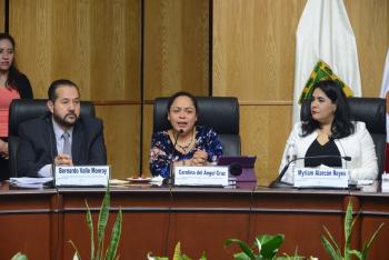 Aprueban Guía Informativa de candidaturas para Voto Chilango