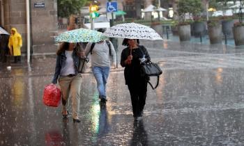 Lluvias dejan 11 encharcamientos, 2 árboles y anuncio publicitario caídos