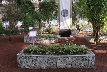 Comedor y Huerto “Espiga” contribuyen al derecho a la alimentación