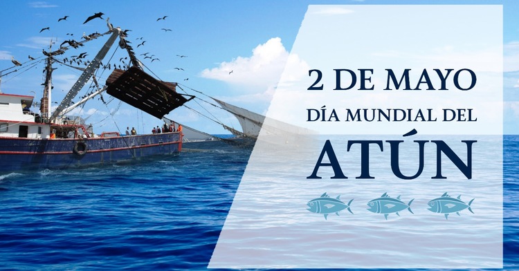 #DíaMundialDelAtún: lo que debes saber de esta industria