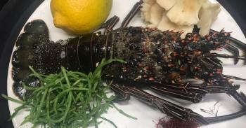 Langosta mexicana, inspiración de la cocina de mar