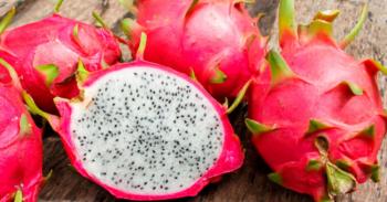 5 productos mexicanos No Tradicionales de clase mundial