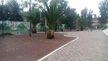 LLEVAN A CABO ACCIONES DE LIMPIEZA Y REHABILITACIÓN EN EL BOSQUE DE TLÁHUAC