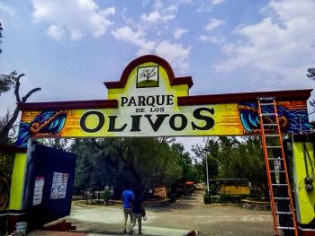 SE BUSCA DETONAR UNA ECONOMÍA A TRAVÉS DE LA PRODUCCIÓN DE ACEITUNA