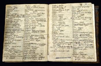 Analizan documentos antiguos sobre pueblos originarios en mesa de etnohistoridores