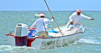 Estrategias de combate contra pesca ilegal