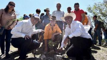 Realiza gobierno de Morelos jornada estatal de reforestación