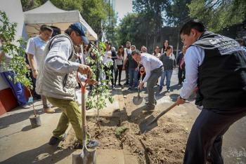 CONMEMORAN EL DÍA MUNDIAL DEL MEDIO AMBIENTE CON 200 ÁRBOLES NUEVOS EN LA CONDESA