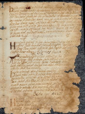 Publican primer estudio individual e integral del Chilam Balam de Tekax