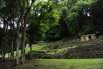 Retoman exploración arqueológica del meandro de la Zona Arqueológica de Yaxchilán, en Chiapas