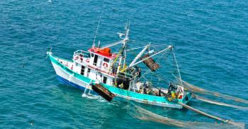 Tecnología y pesca, un equipo muy exitoso