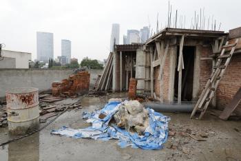 ASESTA DMH GOLPE A CÁRTEL INMOBILIARIO