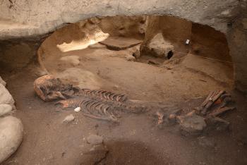 Descubren fosas prehispánicas de más de 2,500 años, al sur de la CDMX