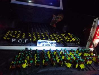 Megaoperativos entre Policía Fiscal y Seguridad Pública en carretera permiten gran decomiso en cigarrillos y Ketamina