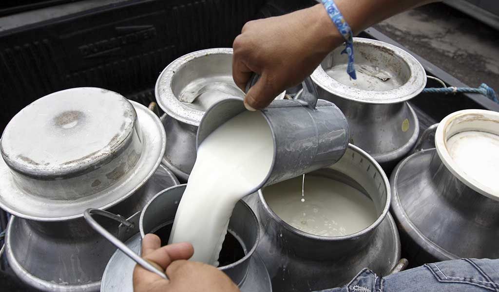 Incentiva SAGARPA consumo de leche en beneficio de la población nacional