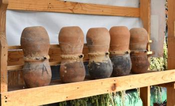 VISITA A LAS MELIPONAS EN EL CENTRO VERDE