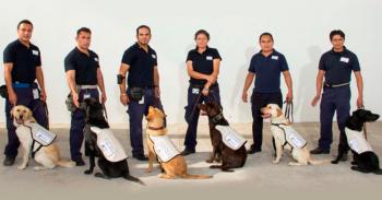 No importa cuanto lo escondas, ellos ¡lo van a encontrar!