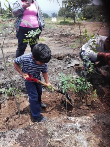 CELEBRAN EN TLÁHUAC DÍA DEL ÁRBOL CON ACCIONES DE REFORESTACIÓN