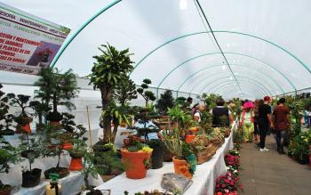 TRADICIONAL FERIA DE LAS FLORES DE SAN ÁNGEL 2018