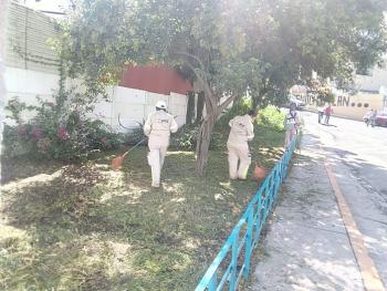 LLEVA A CABO GOBIERNO DELEGACIONAL, ACCIONES POR TU SEGURIDAD EN UNIDADES HABITACIONALES Y VIALIDADES