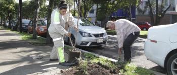 Promueve DMH plantación y adopción de árboles